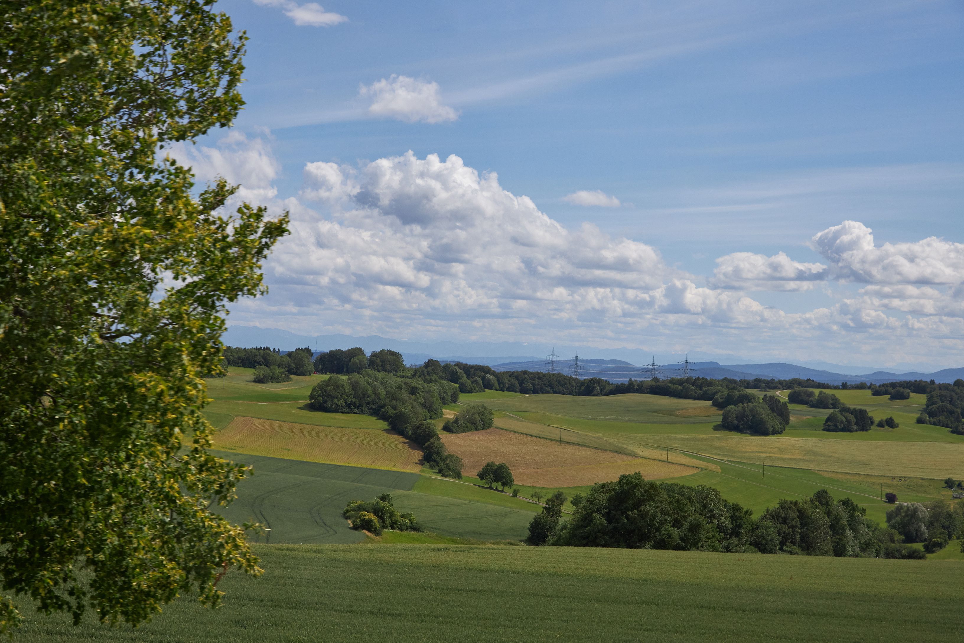 Schwarzwald Hochstrass...